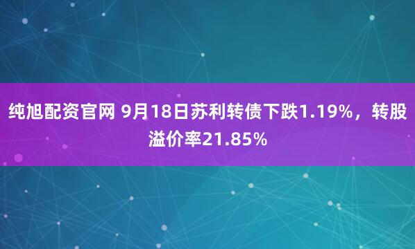 纯旭配资官网 9月18日苏利转债下跌1.19%，转股溢价率21.85%