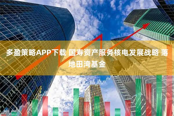 多盈策略APP下载 国寿资产服务核电发展战略 落地田湾基金