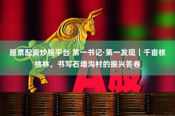 股票配资炒股平台 第一书记·第一发现｜千亩核桃林，书写石墙沟村的振兴答卷