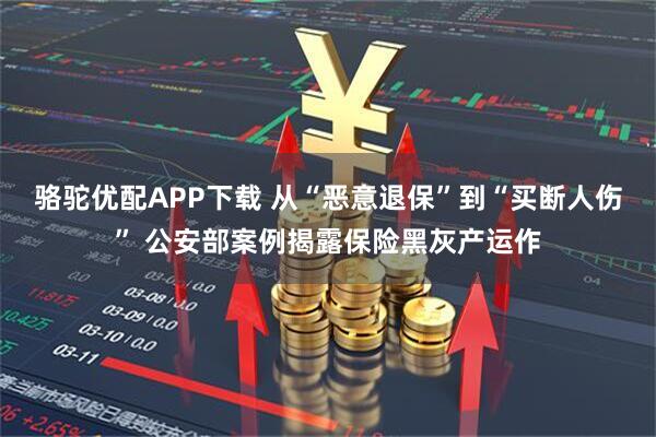 骆驼优配APP下载 从“恶意退保”到“买断人伤” 公安部案例揭露保险黑灰产运作