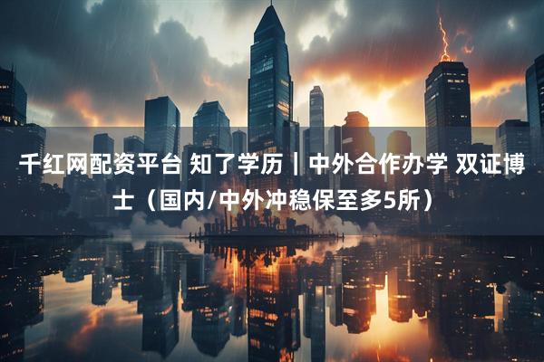 千红网配资平台 知了学历｜中外合作办学 双证博士（国内/中外冲稳保至多5所）